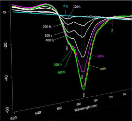 Femtosecond